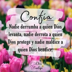 Meet your Posher, Luna